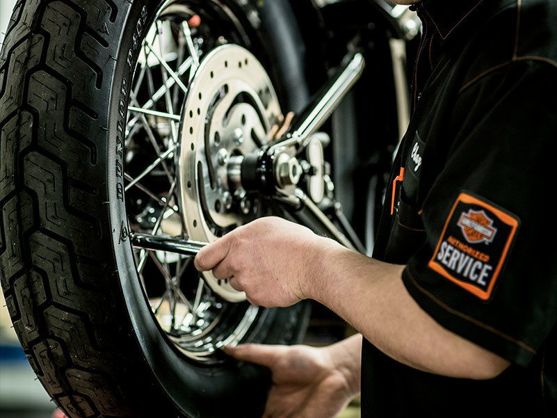 Go to blackbearhd.com (service-repair-motorcycles-dealership--service subpage)